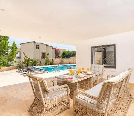 Villa City كاس