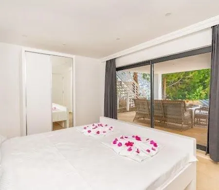 Villa City فيلة